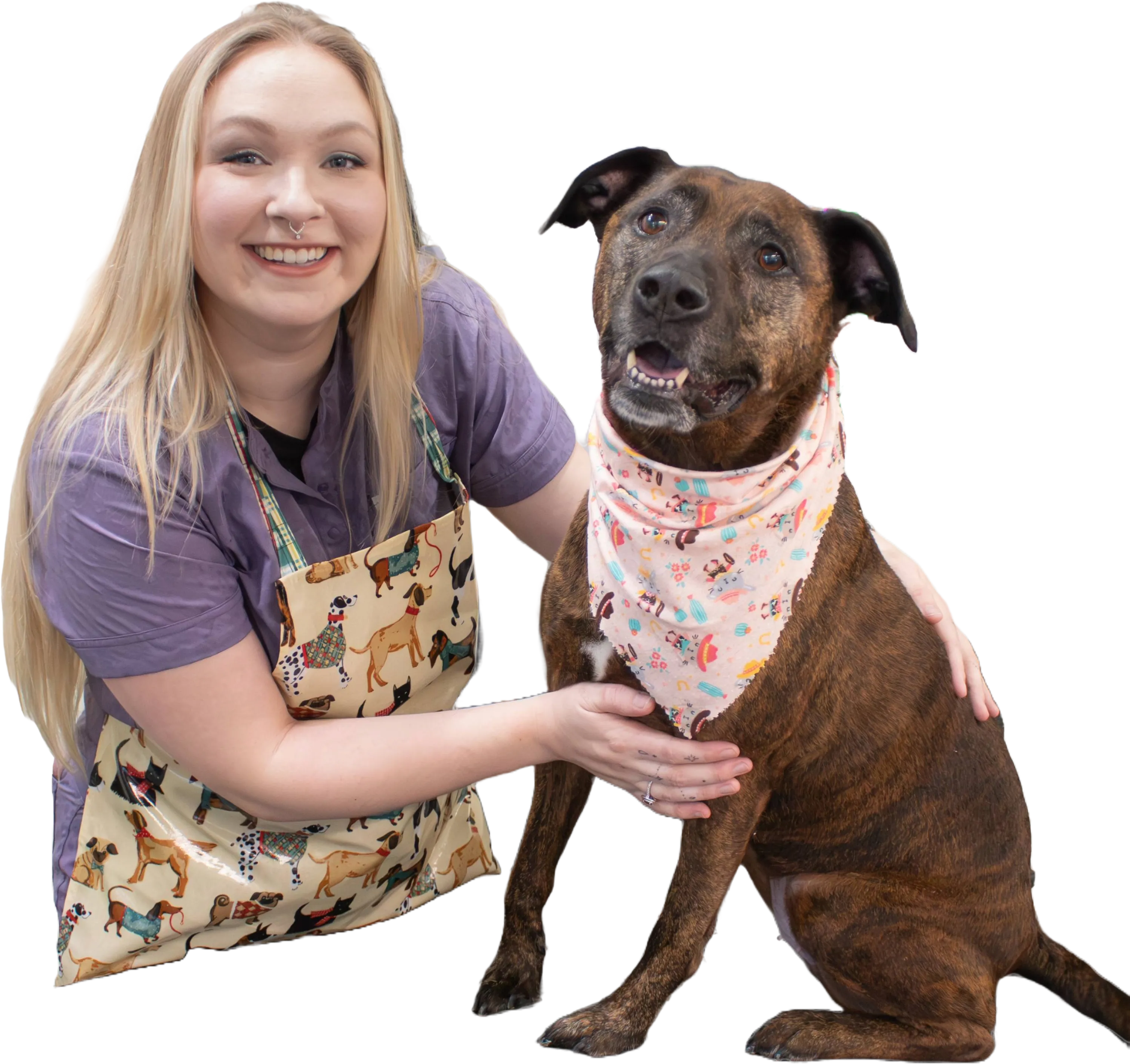 Dog after grooming at Bubble Tubs for Dogs