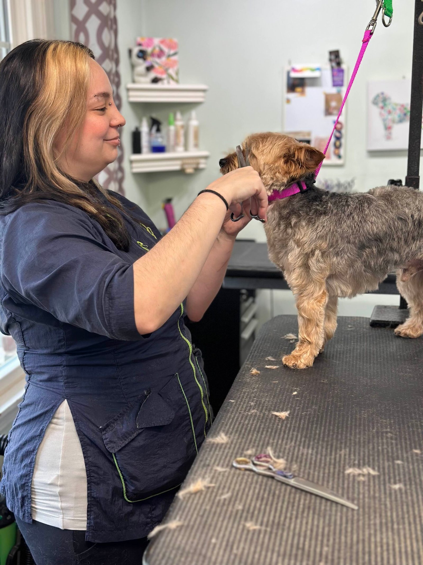 Dog grooming example 1