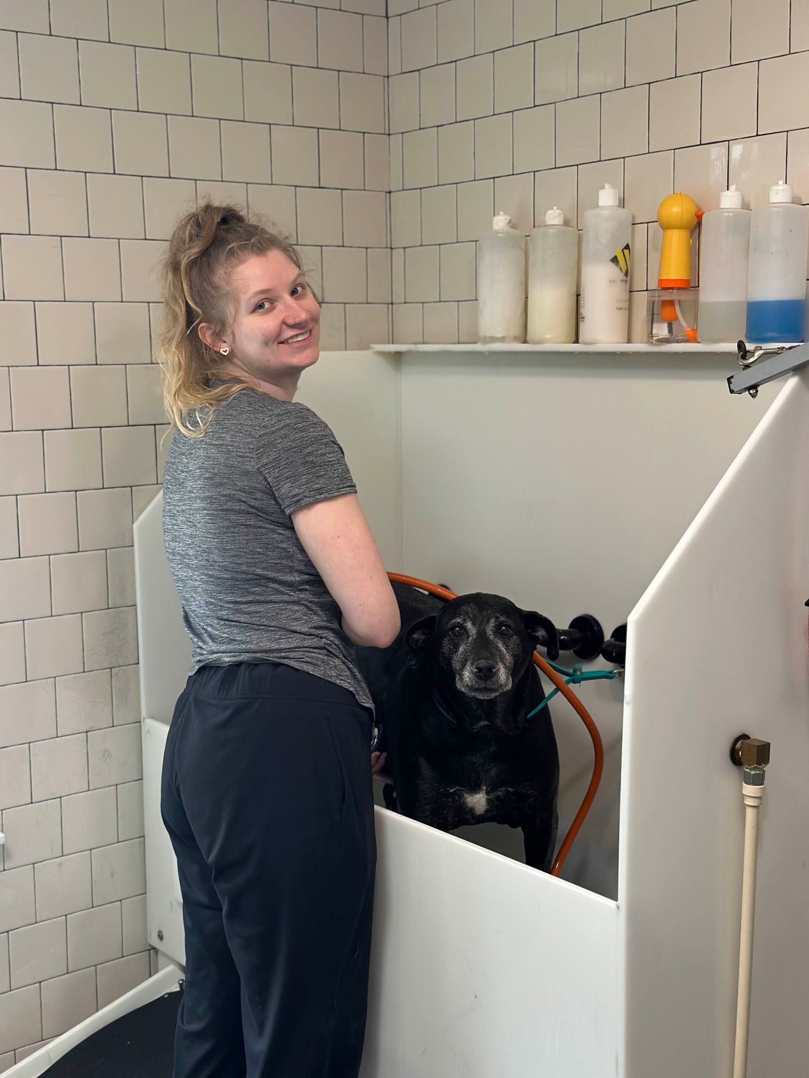Dog grooming example 2