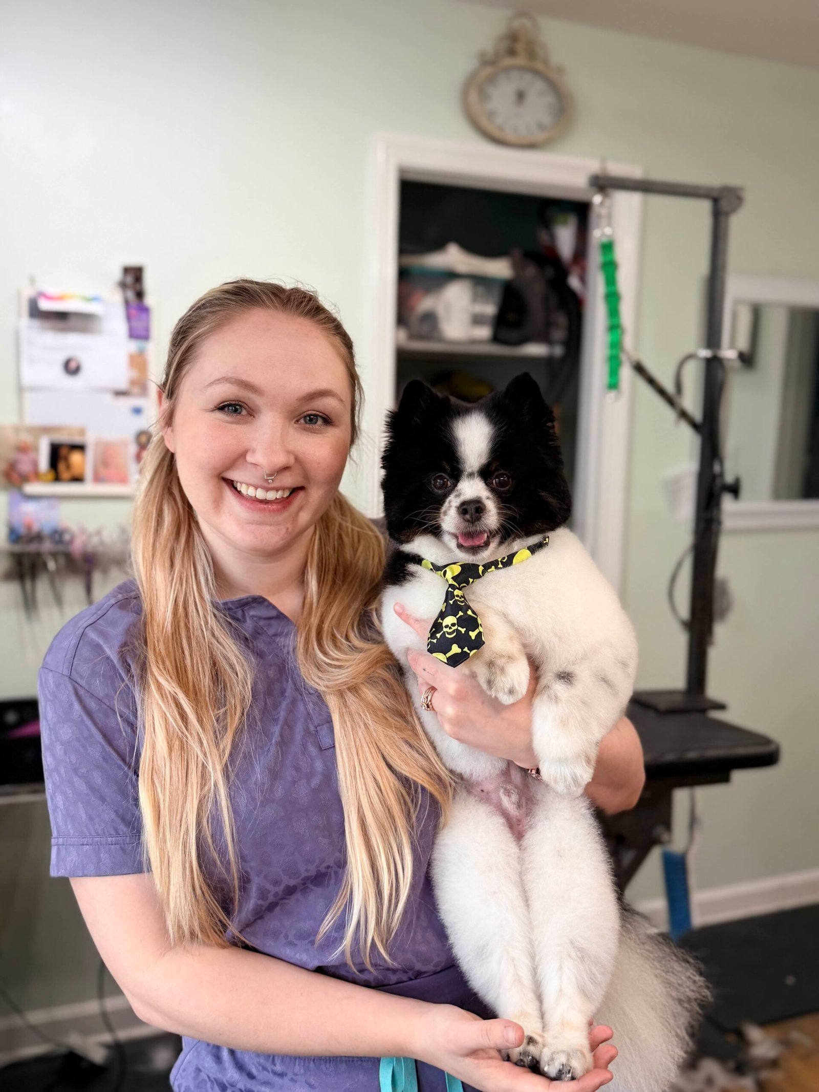 Dog grooming example 3